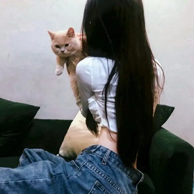 游戏