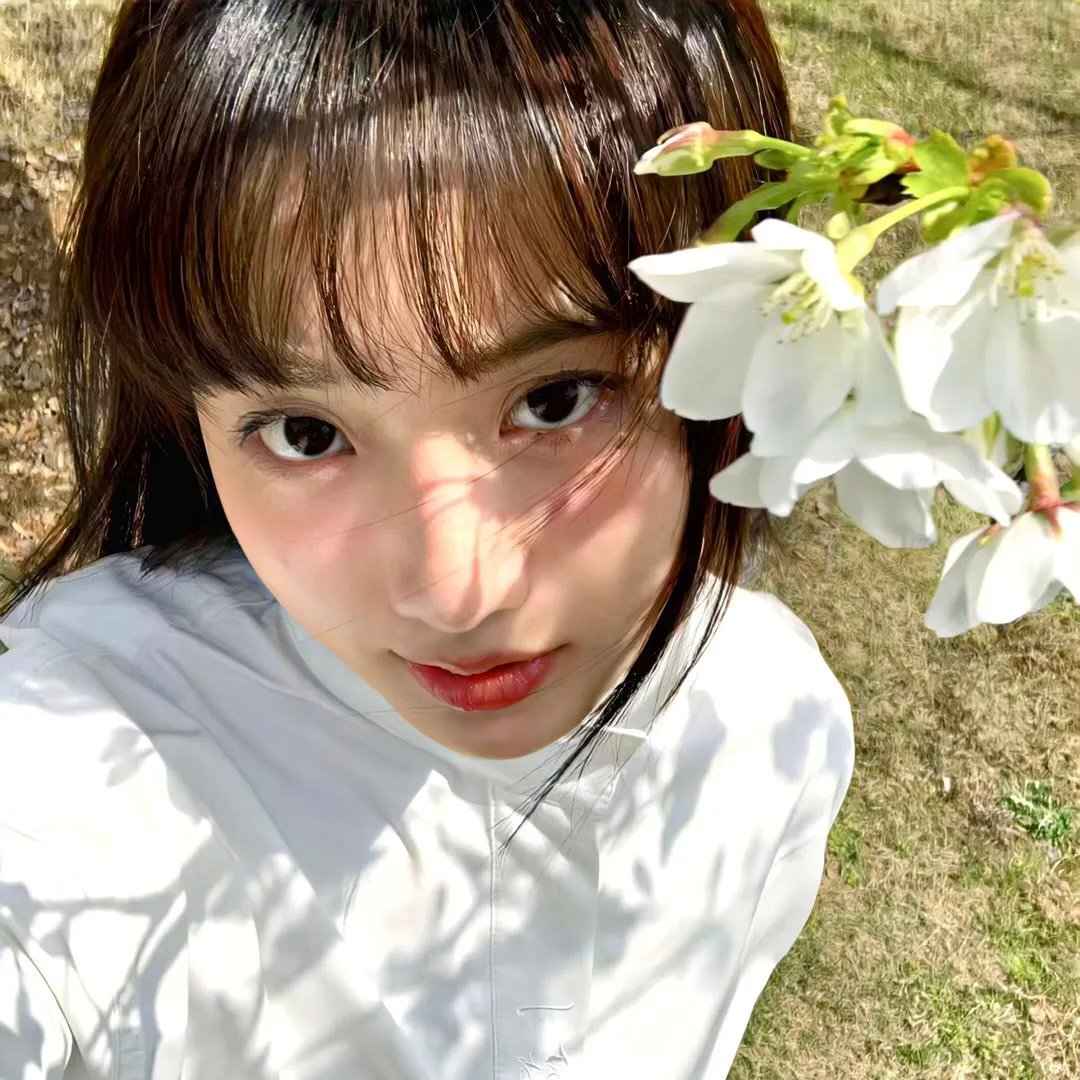 艾米莉亚2.0